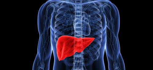 Healthy Liver, Healthy Life